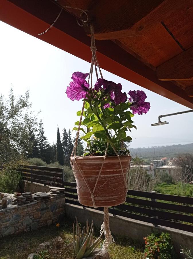 Akhinos Villa Achinos מראה חיצוני תמונה